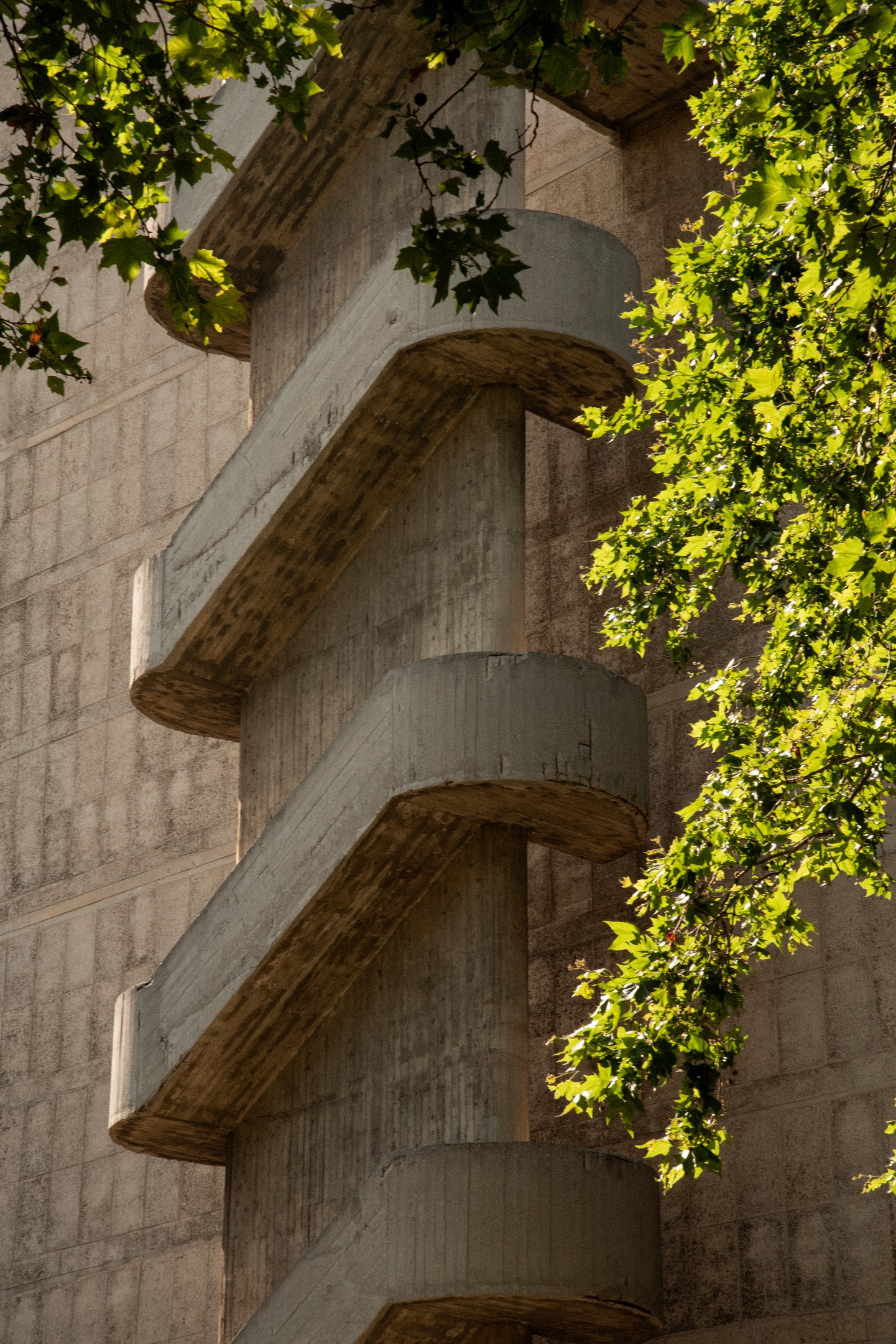 Massilia — visuel 4